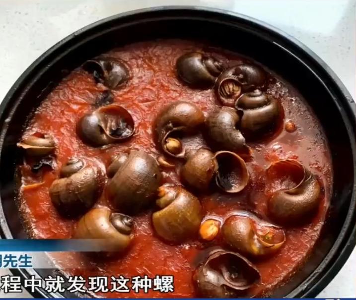 交易 顾客点田螺，却送来福寿螺，还称顾客诽谤门店：这就是田螺