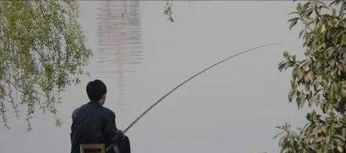 水库|四川一男子在40年的水库盘黑坑，意外收获“米级”鲢鳙王，羡慕吗