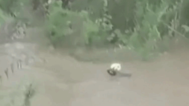 吴磊|吴磊和她的私照曝光，却意外揭露了她的生存现状