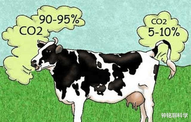 二氧化碳 科学家：野猪每年碳排放超100万辆汽车？全球变暖真的怪野猪吗？