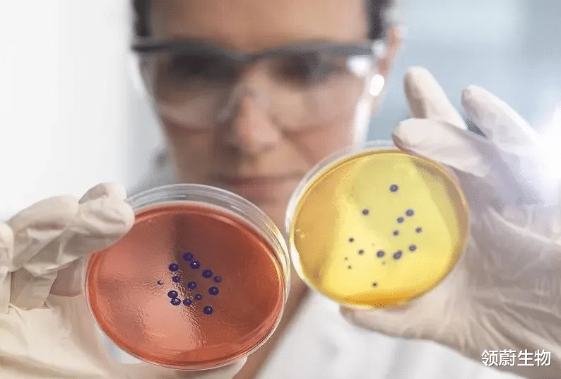 领蔚生物|研究综述：干细胞疗法对糖尿病相关病变的临床试验