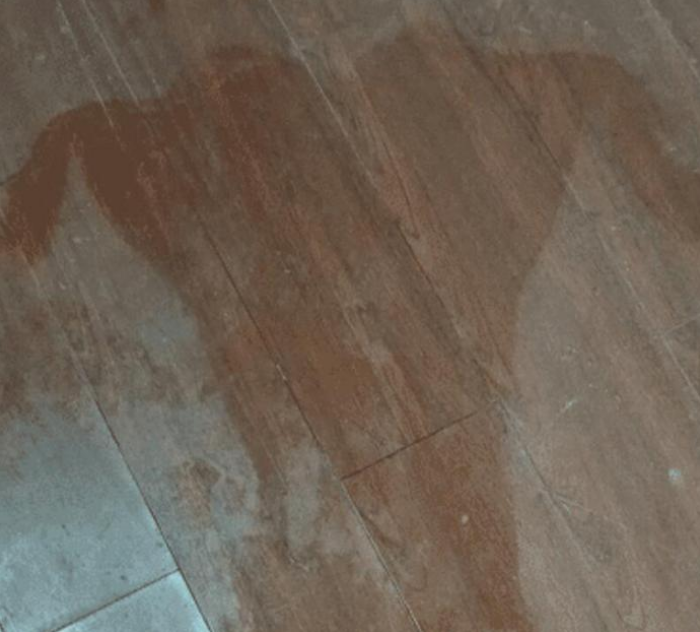 白娘子|“白素贞飞行的时候为什么要把一只手往前伸？”