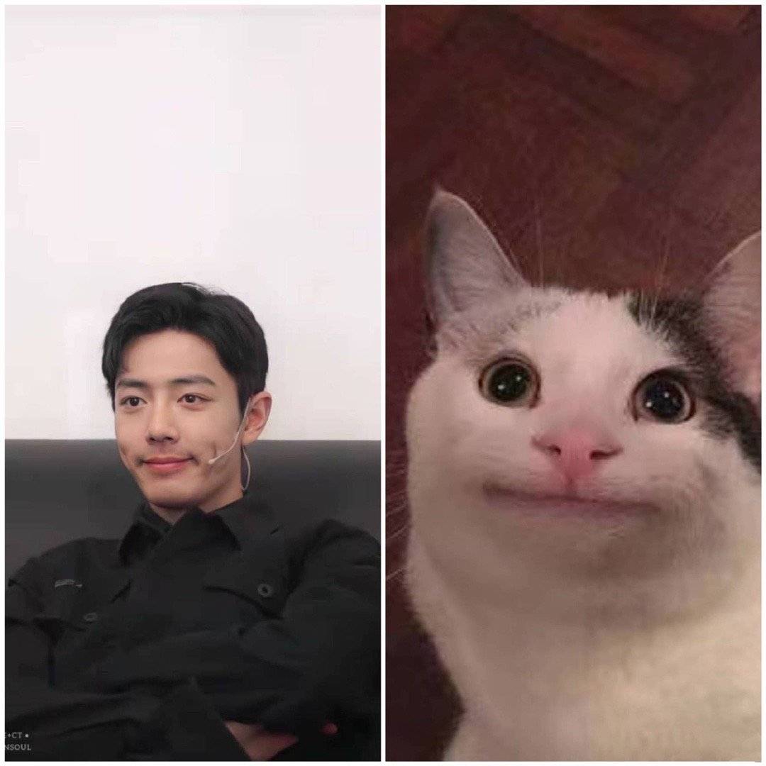 肖战|被剪掉的节目重见天日，瑟瑟发抖的不是肖战，是“综艺咖”更难了