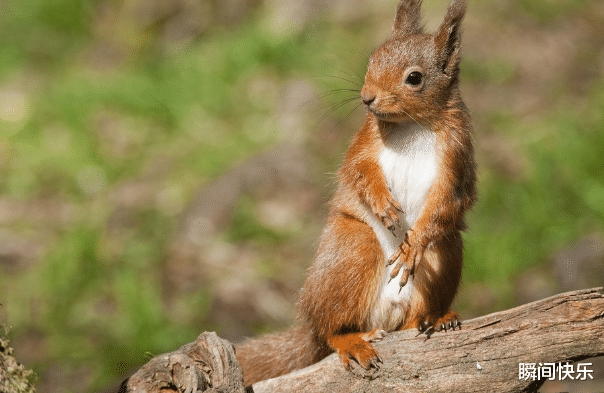 生肖|一家人有哪些生肖，8月会财库满满，钱包鼓鼓，职场贵人易帮扶