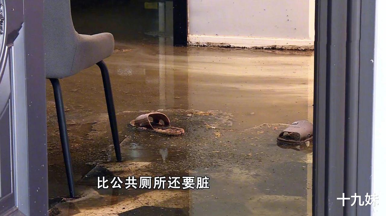 |刚装修好的房子变成“粪坑”，业主欲哭无泪：开发商应赔偿我损失