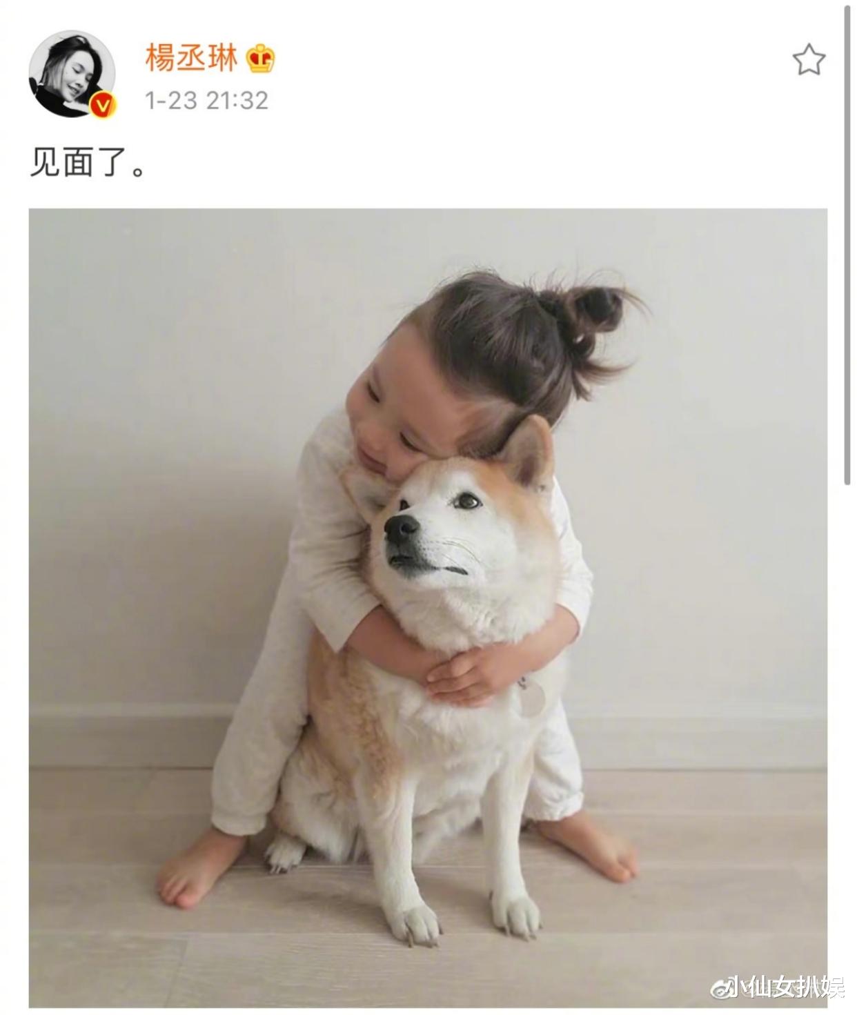 杨丞琳|时隔300多天，他俩终于见面了！力破婚变传闻