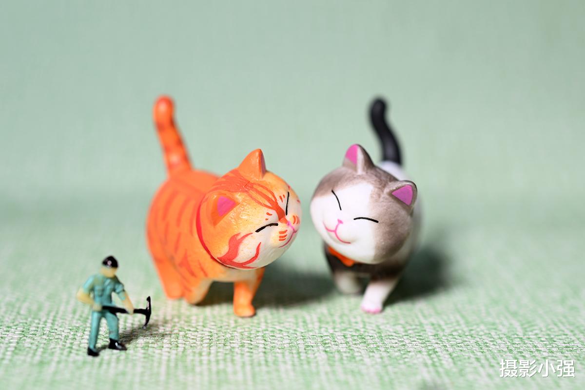 相机|投石问路:从相机到手机,摄影爱好者是否选择双修器材?