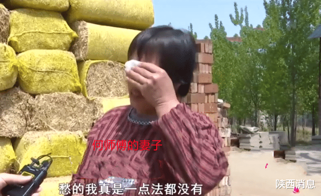 陕西消息 牛饲料中掺石子，养殖户欲哭无泪：1000多包只有车顶几包是好的！