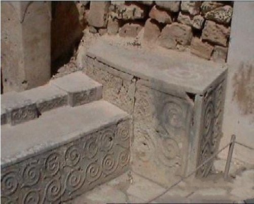 微生物 神秘螺旋图案包含什么意思