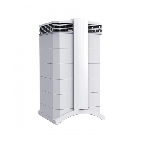 新房怎么通风除甲醛最好 除甲醛的盆栽有哪些