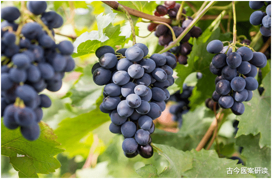 瓜子|瓜子是“高血糖”加速器？医生：血糖若想稳，“2黄1紫”少碰