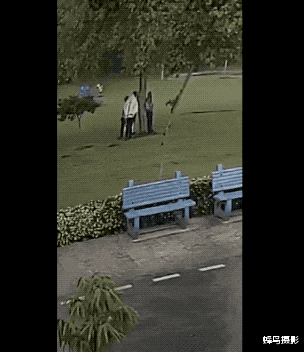 猩猩 30张罕见的照片，双头蛇2个头同时吃东西，猩猩妈用小猩猩擦屁股