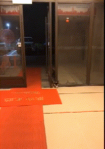 动物庄园|一觉睡醒发现自己是一线明星,你会先做什么?