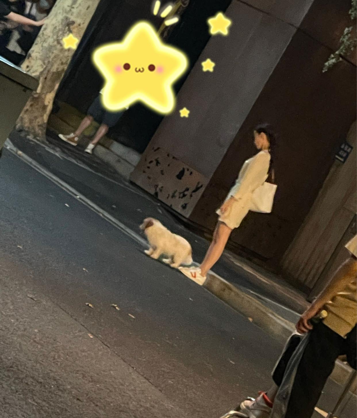 Angelababy|Angelababy超市拍戏被偶遇，休闲打扮超低调，瞪眼式表演遭吐槽