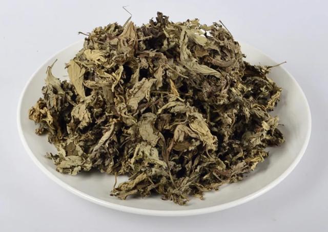 艾灸|“世”说新语|从“三年之艾”感悟中医治未病的养生之道