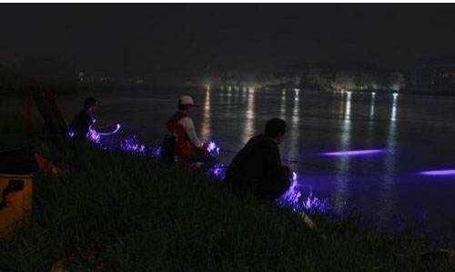 饵料|当下鱼为什么难钓了？原来是因为这些原因，难怪钓友们会感慨