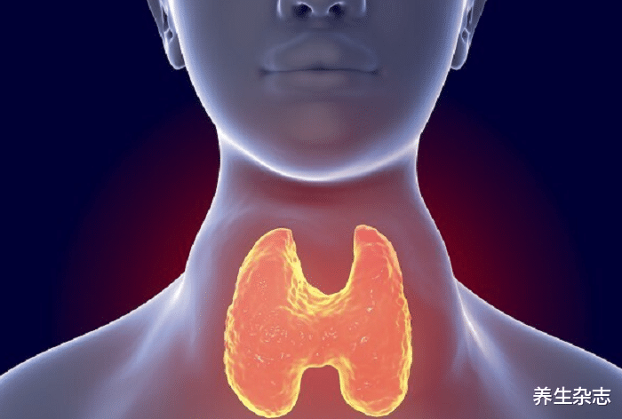 医生|甲状腺的“保护伞”已找到,不是山药,医生:没事随便吃点,结节或慢慢消散