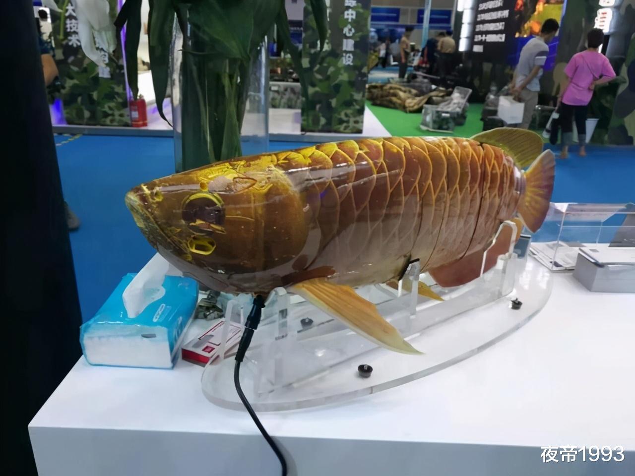 武汉 中国展示仿生机器鱼，具备短距离渗透能力，对美军核潜艇有效吗？