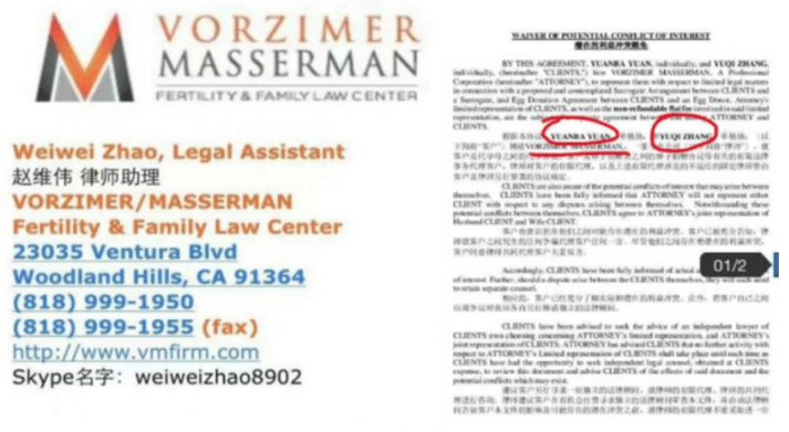 何炅|郑爽要鱼死网破， 娱乐圈或一窝端？