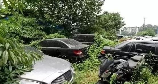 宾利|浙江一豪车“坟场”,宾利奔驰随处可见,看到车牌号,这谁敢惹?