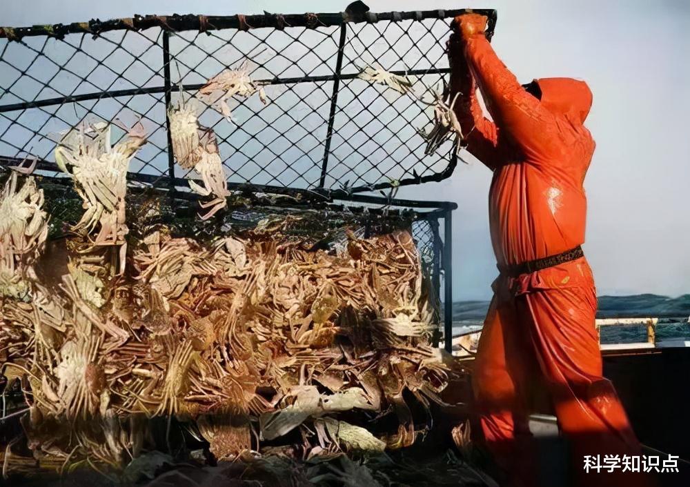 斗牛|全球5大恐怖高薪职业,一场就赚数十万欧元,这种工作你敢干吗?