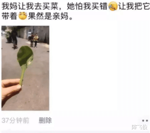 陈飞俊|下图中的这几样东西大家能猜出其表达的是什么意思吗？