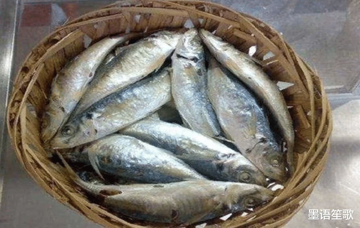 刘伯温|刘伯温去世前送给朱元璋一筐鱼，17年后朱元璋才明白，可惜太晚了