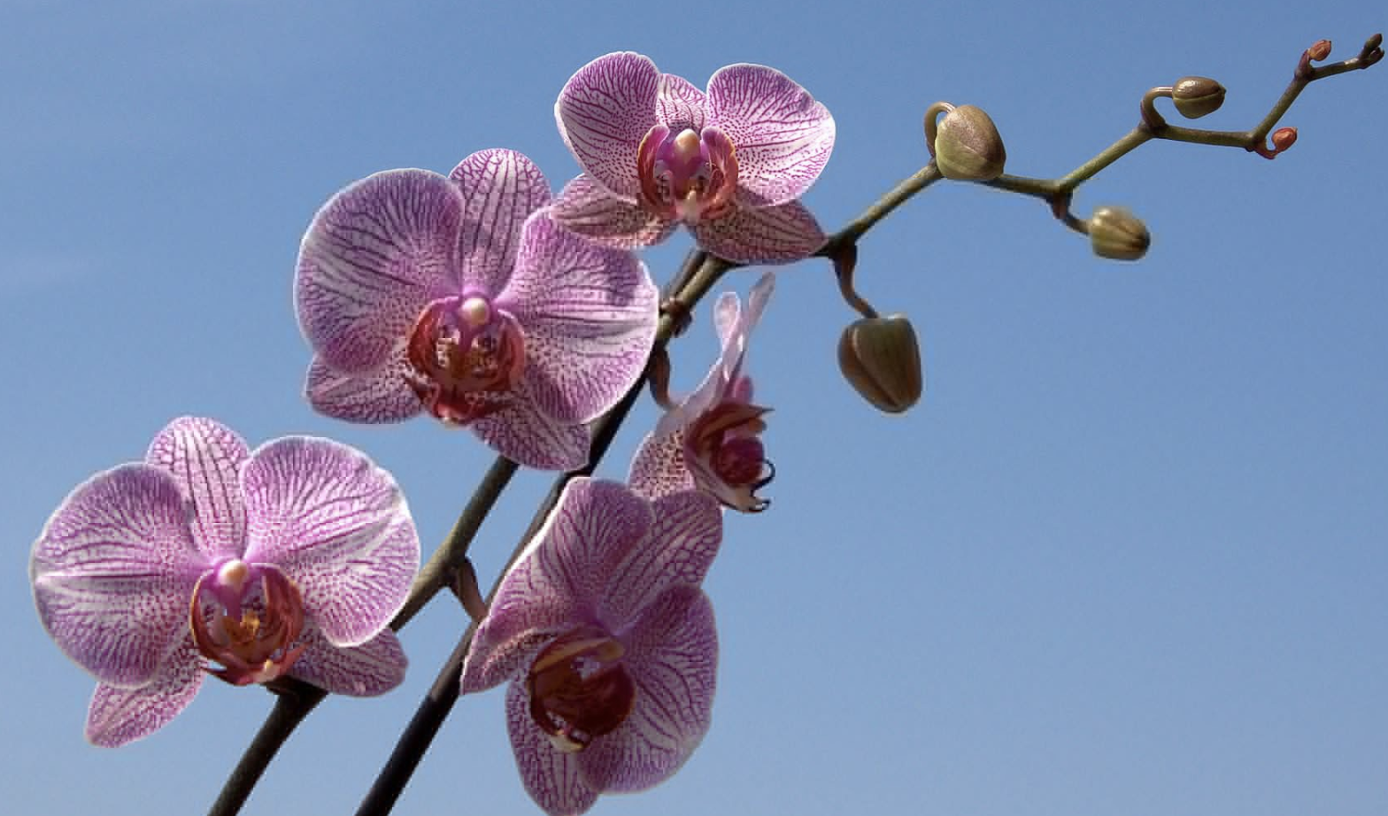 生肖夜读|8月底，财运到达，财富无忧，财源广进，3生肖努力前行，咸鱼翻身