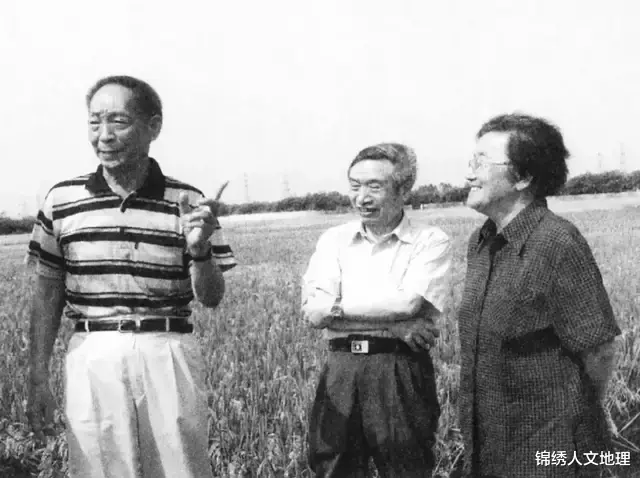 水果|中国水果地理:咬一口,能吃的夏天