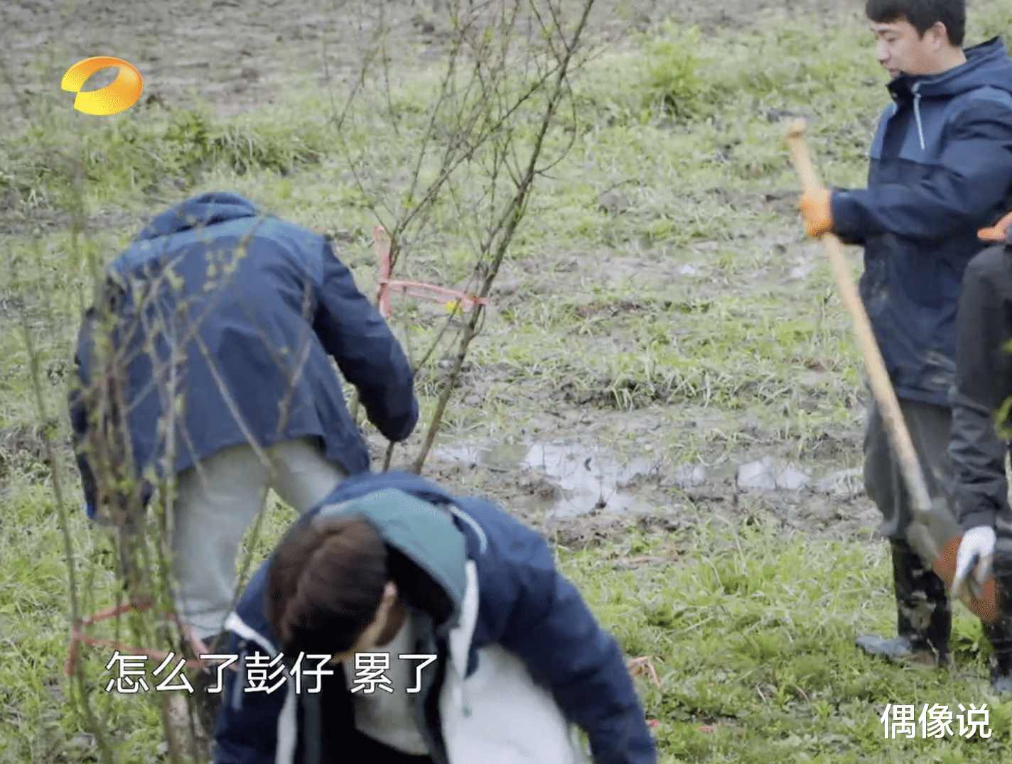 张艺兴|何炅给张艺兴扣扣子，靠他肩膀上，还给他铺床，彭昱畅没这待遇！