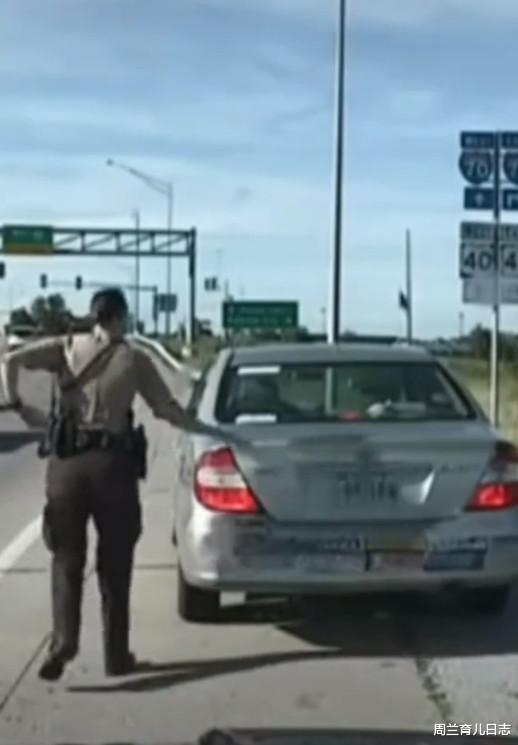 周兰育儿日志|美国警察临检为什么会“摸一下后车厢”？专家：保命动作