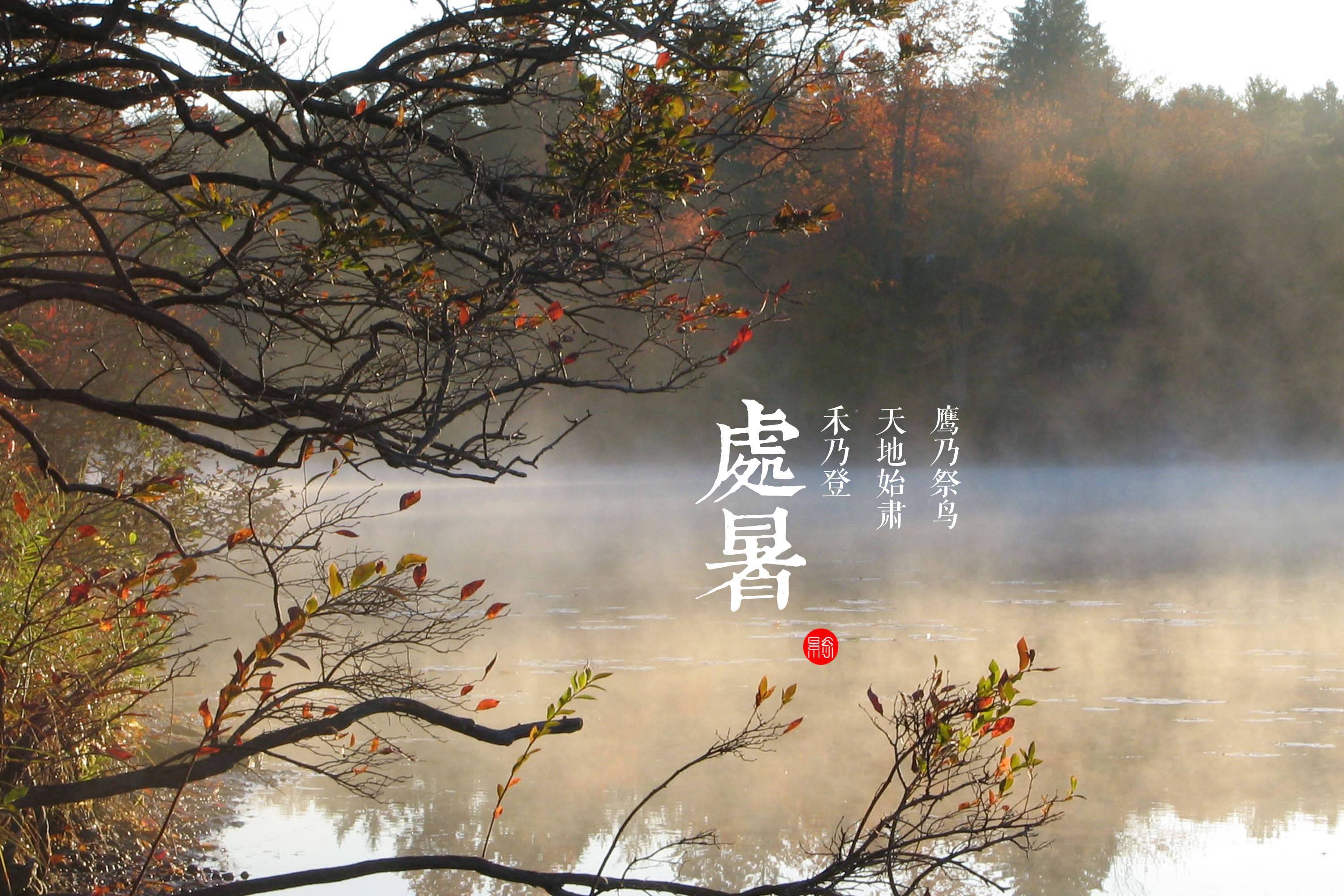 徐老谈养生|处暑将至：秋季养生提防“秋老虎”，膳食需注重润燥滋补，适当贴秋膘