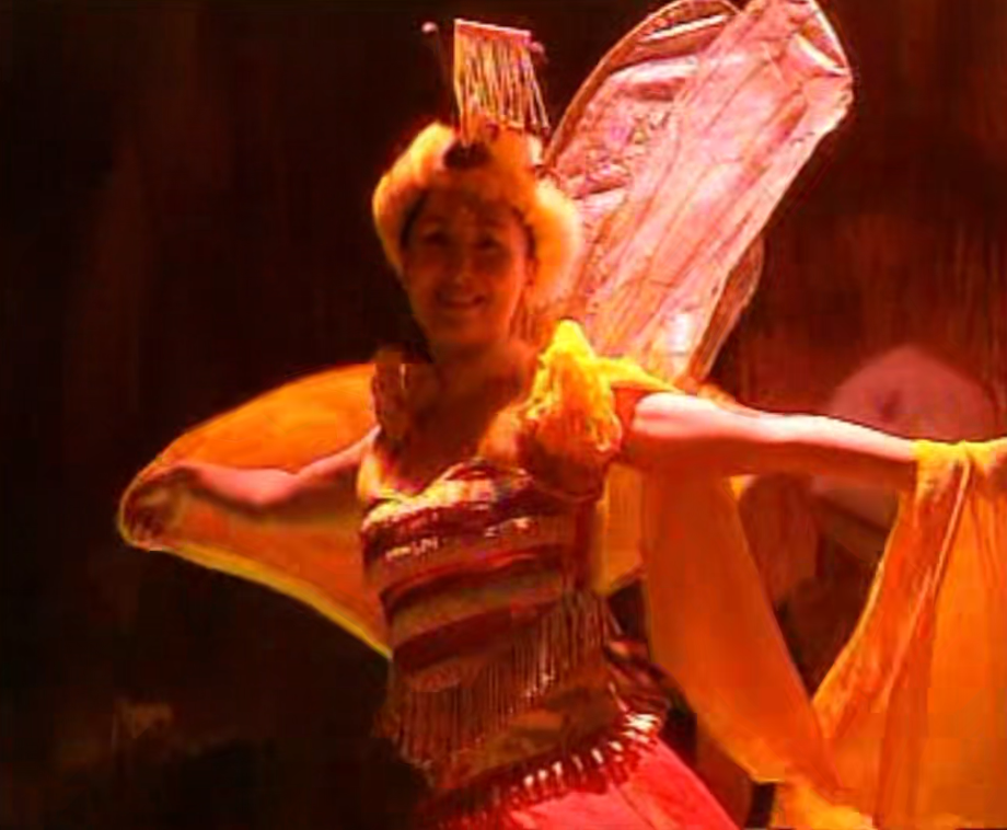 蜜里逃生|变成蜜蜂的小男孩,1999年的电视剧《蜜里逃生》