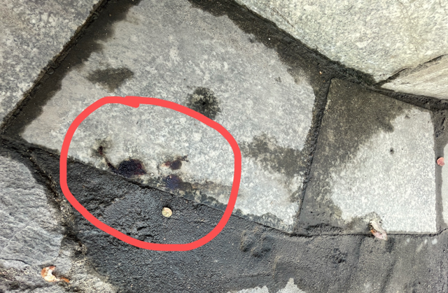 蝙蝠 “皮箱藏尸案”出租车司机被质疑：为何不追嫌疑人？车牌号被曝光