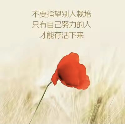 小飞侠熙熙|成长很大的一部分是接受。