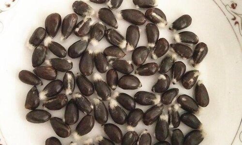 月球 嫦娥四号又有新发现，一块竖立的“石碑”，专家：这块岩石不寻常