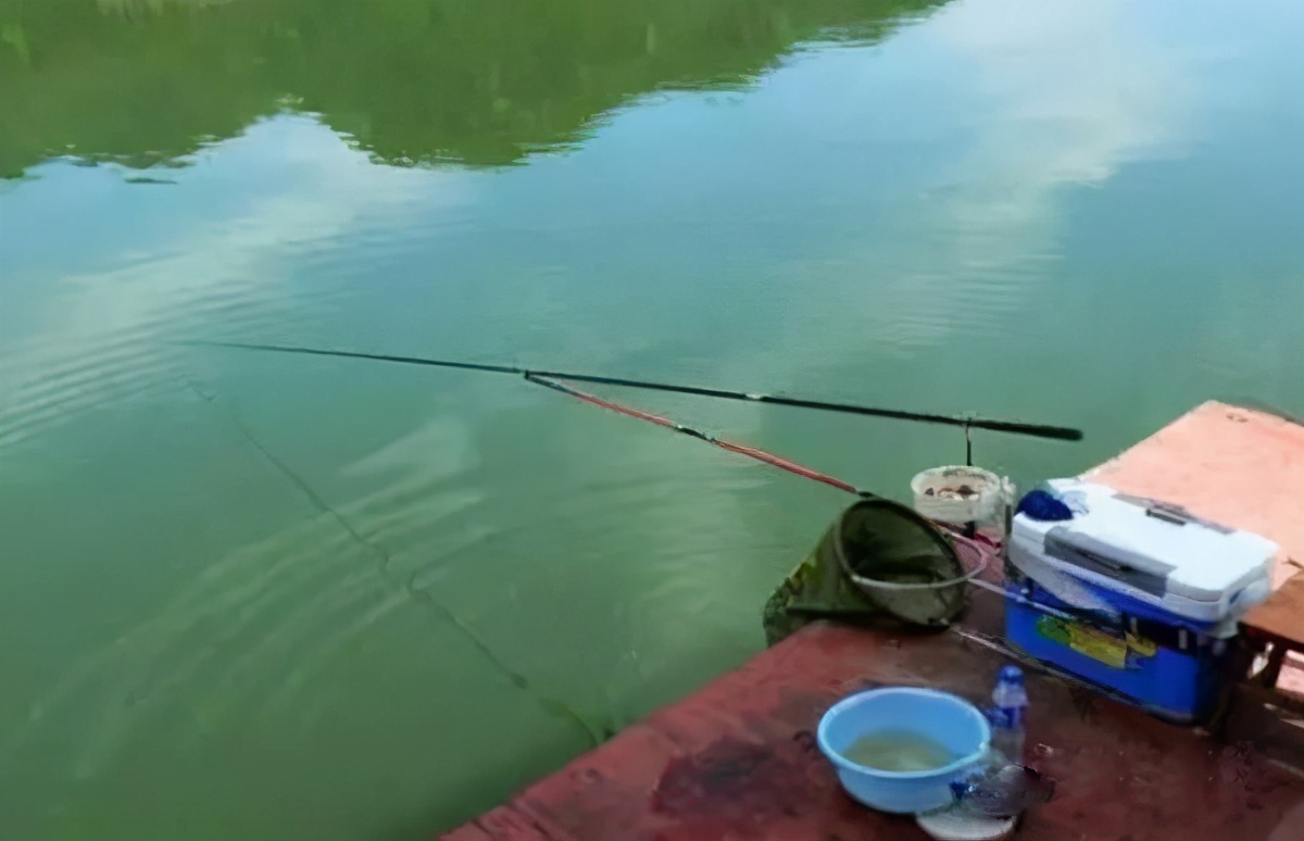 饵料|新钓点不知如何下手，试试这几个做法，至少能做到不空军