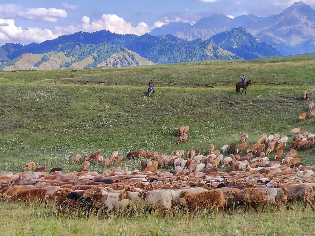 乌鲁木齐 距乌鲁木齐1h，新发现一条荒废半个世纪的绝美天路，虐过独库，美过318！
