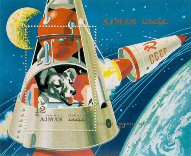 它是首个飞上太空的动物,悲惨结局被隐藏45年,人类为何要毒死它