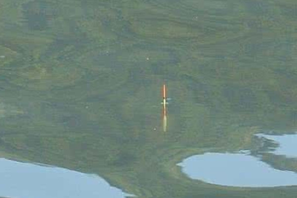 |钓鱼必胜绝技：钓大鲫鱼学会这5招，钓到塘主跪地求饶！