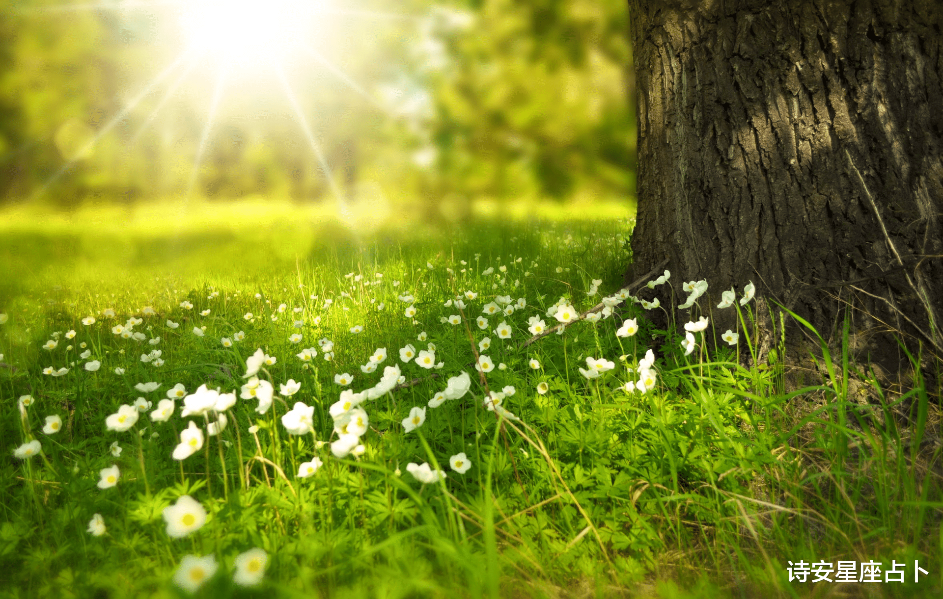 摩羯座|这三大星座各有各的好，头脑聪明，懂得变通，前途不可限量