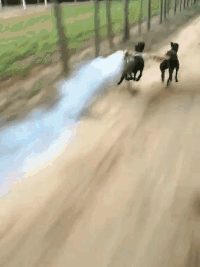 萌萌萌说|“有男友和没男友有什么区别？”听说只有老司机才懂！哈哈哈哈哈