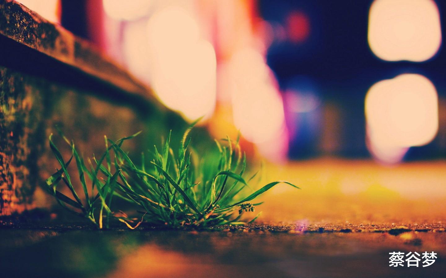 考试|学习的意义在于充实,做好终生学习的准备吧