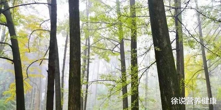 运动|“五微”更健康