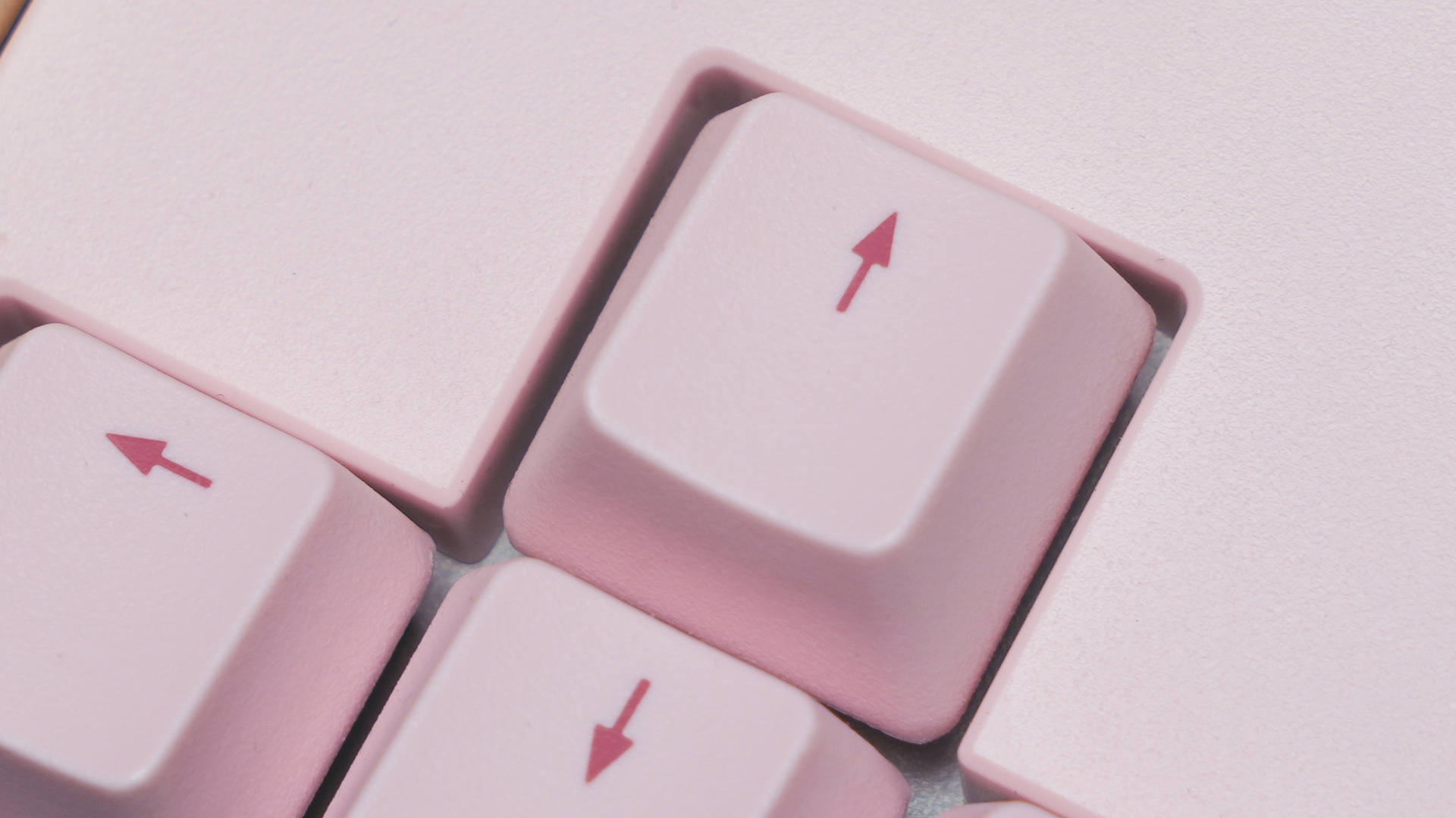 顯示器|肥宅電競快樂桌，我為桌面添置了哪些數碼好物？