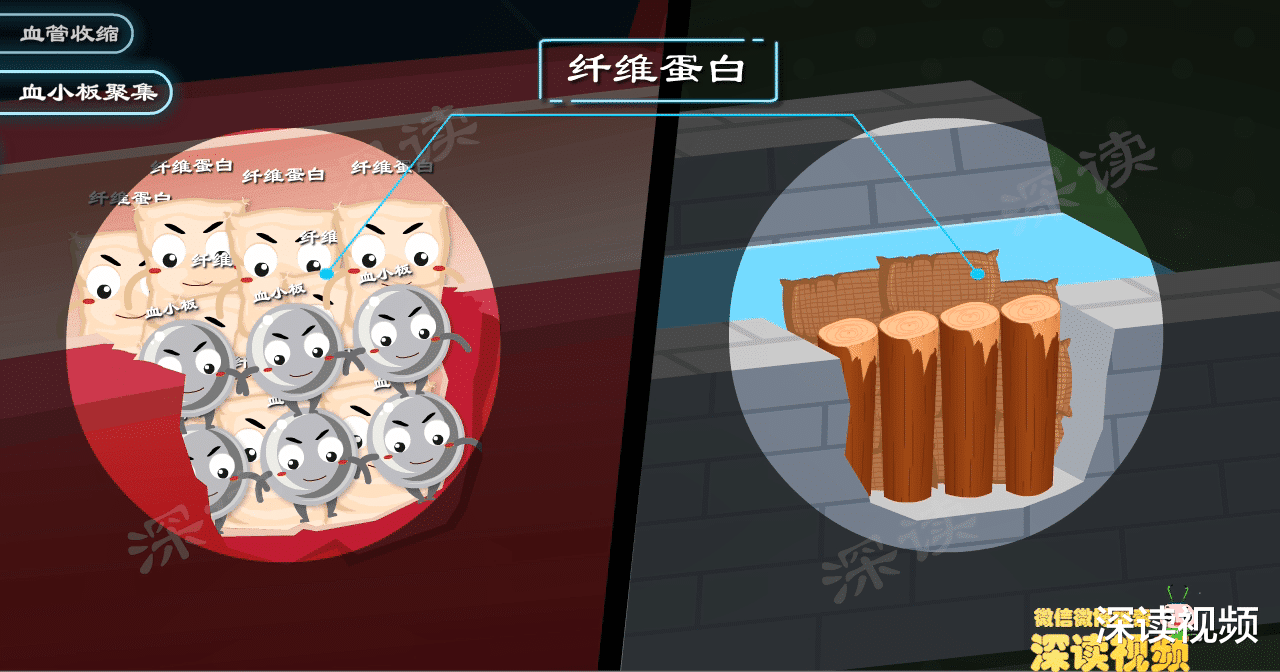 鼻血止不住?一查竟是血友病?咋回事?血友病发病机制动漫版,燃
