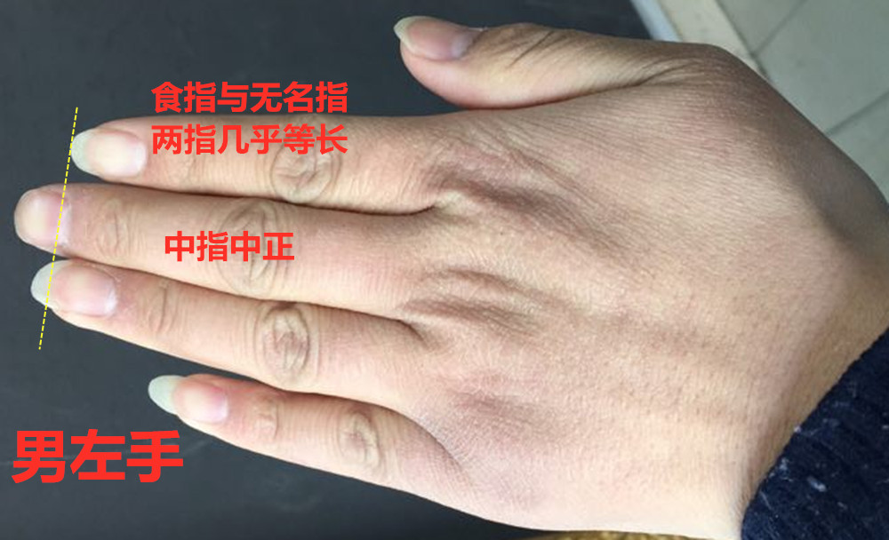 诚然情感之事|手相: 自个买马自个骑，事业上容易飞黄腾达的特征！