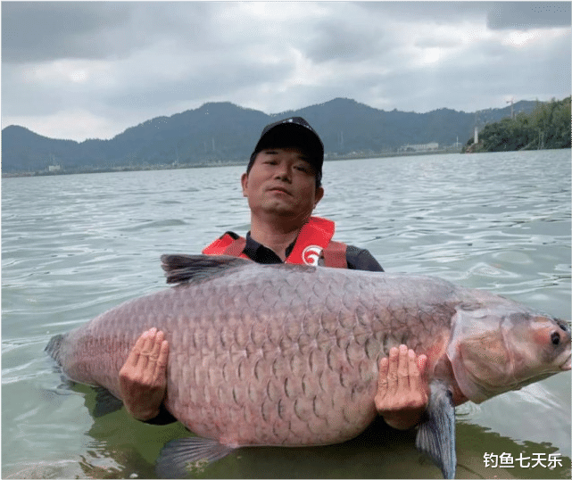 石智勇|奥运冠军原来是个钓鱼迷！石智勇与钓鱼大师网络“约钓”，能赢吗