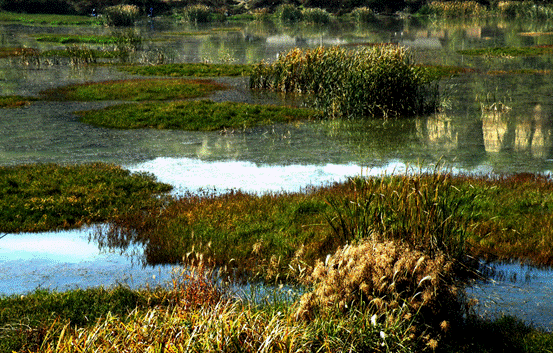 饵料|冬季钓鲫鱼你真的行吗?迟来的技巧,上来的都是大板鲫!