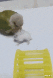 学姐说育儿|神回复:娶同学为妻是什么体验?神评说得好真实,感同身受啊